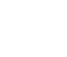 Policy Loans